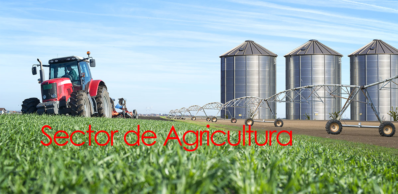 Sector Agrícola
